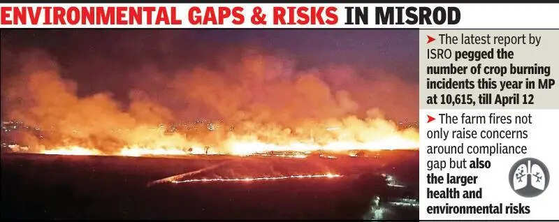 Farm fires choke outskirts as ban remains on paper