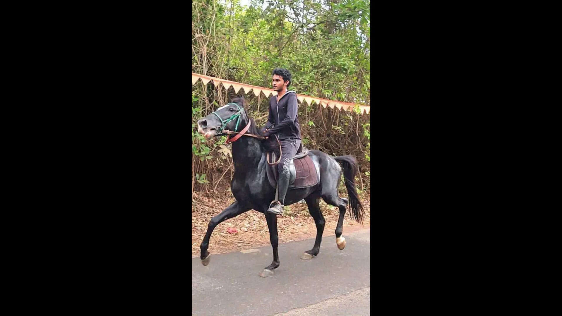 Bicholim police find &lsquo;highway&rsquo; horse fit after medical exam