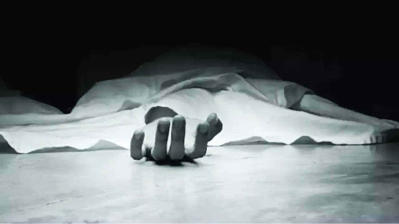 Toddler's body found in forest gorge; mother held for murder in Chhattisgarh