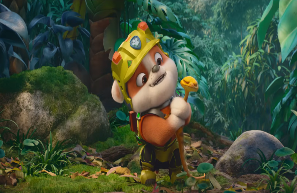 paw4
