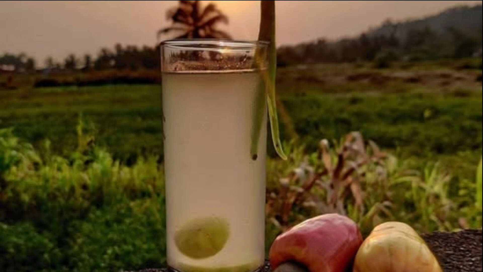 New findings trace etymology of urrak, neero, to coconut
