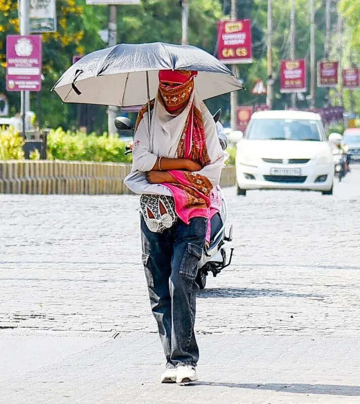 Sambhajinagar bakes at 43.4&deg;C, power outages add to miseries of residents