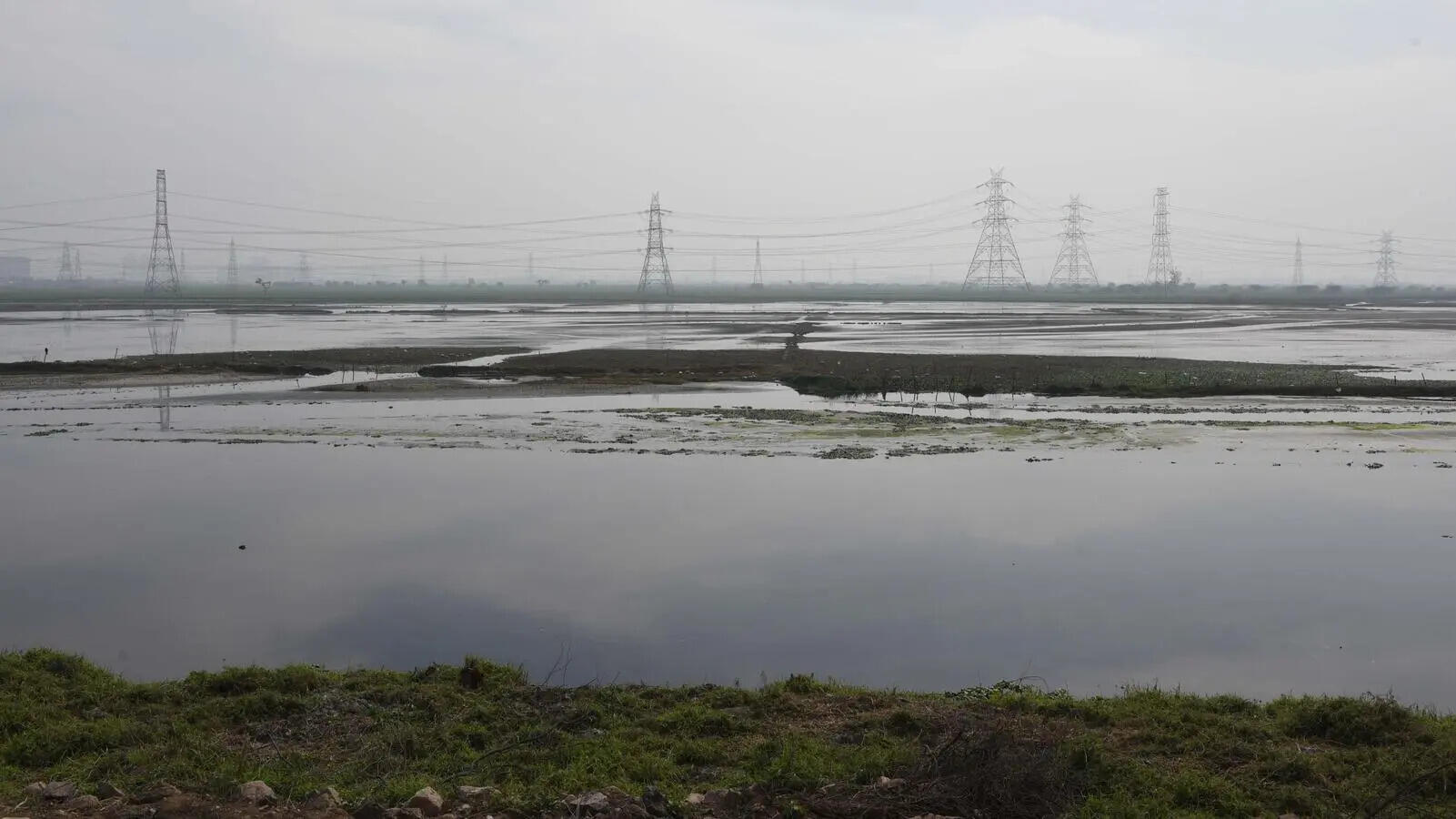 Haryana govt shifts wetland authority to wildlife deptartment amid gaps in protection