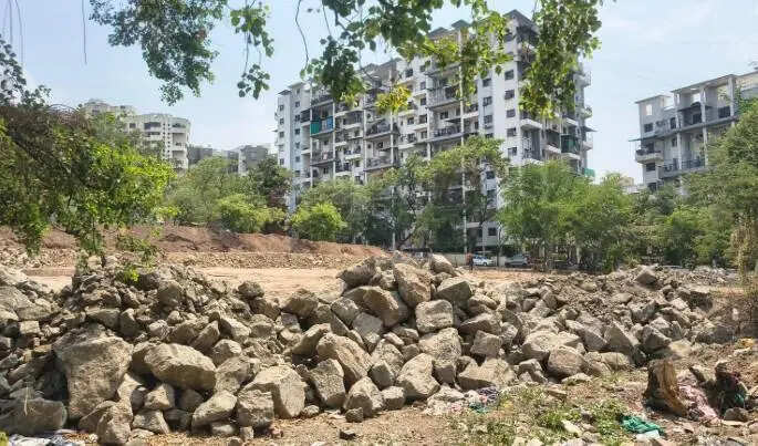 Miyawaki forest planned in NIBM Road area to boost urban biodiversity