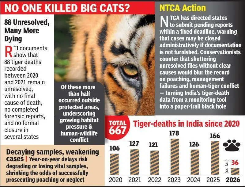 NTCA may close tiger death cases if states miss deadlines