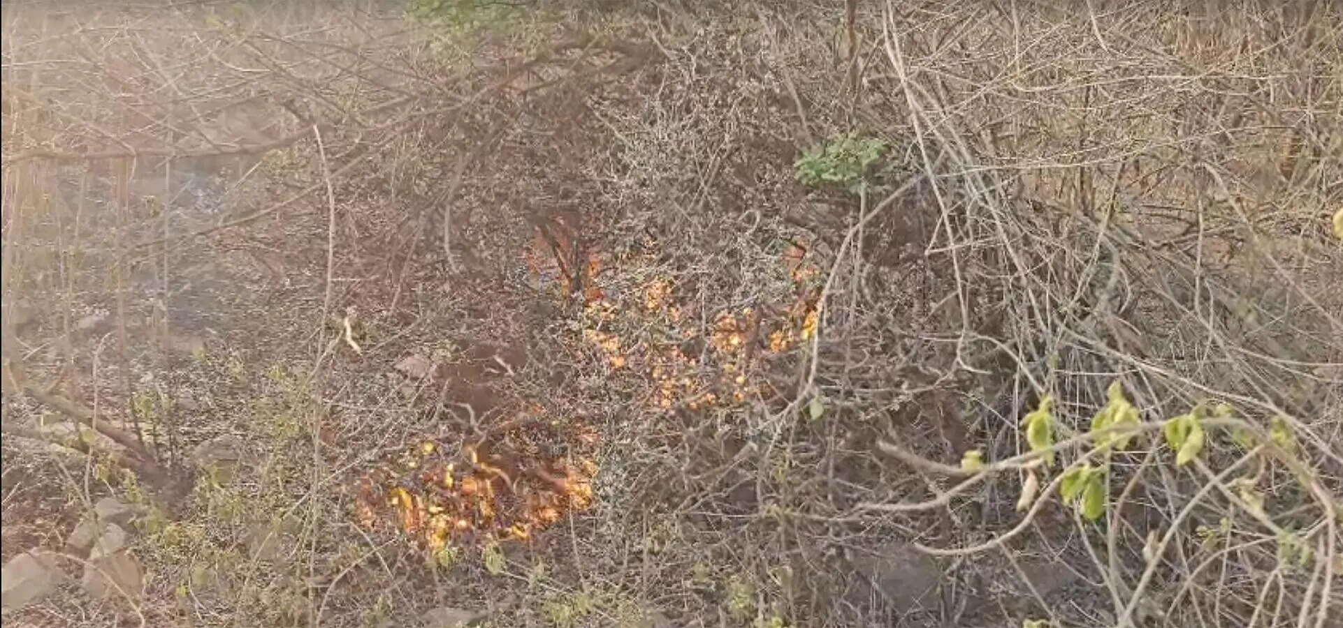 Mangar patch gutted last year up in flames again