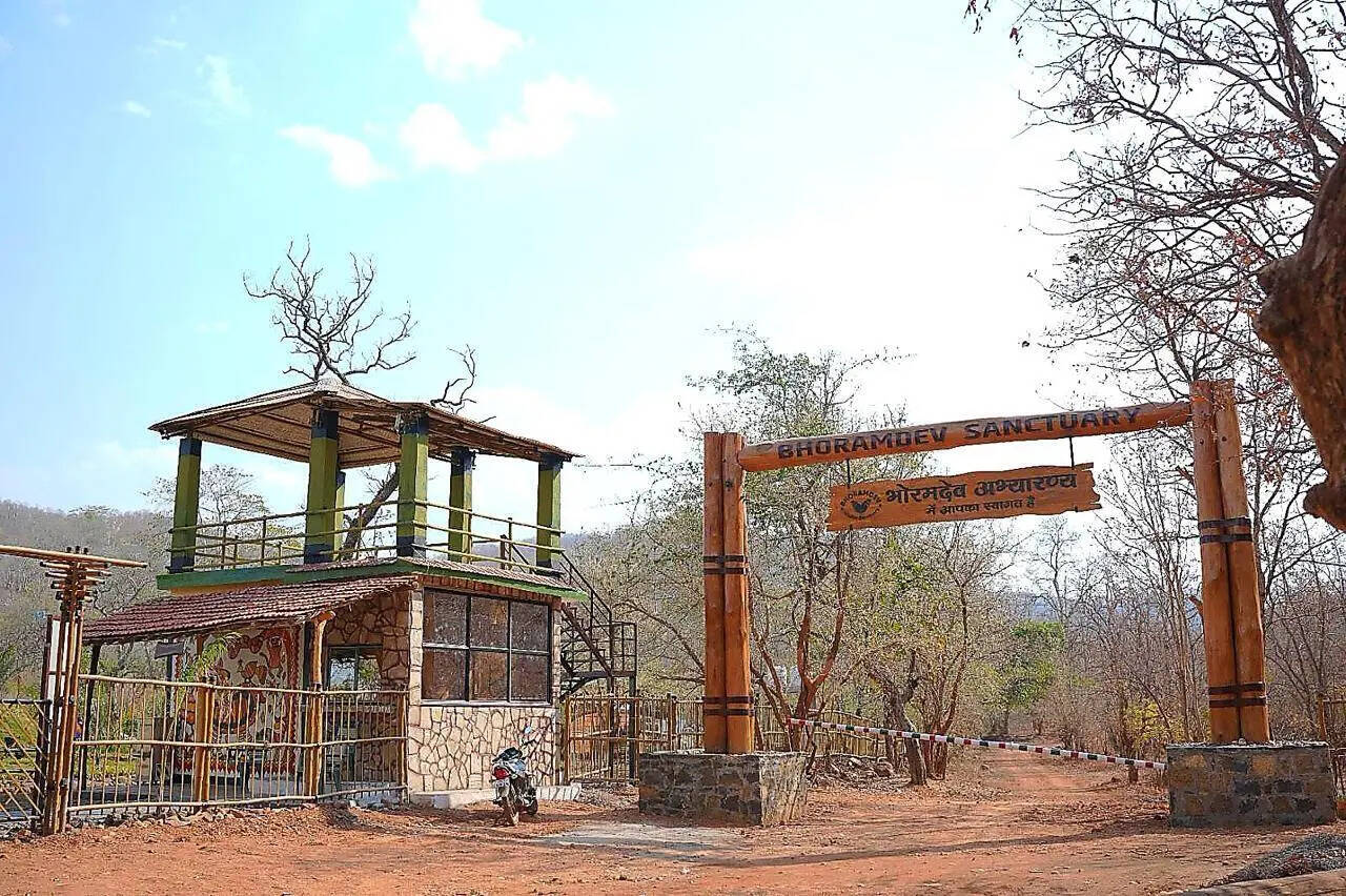 Jungle safari through forests, waterfalls and 21 river crossings begin at Bhoramdeo wildlife sanctuary