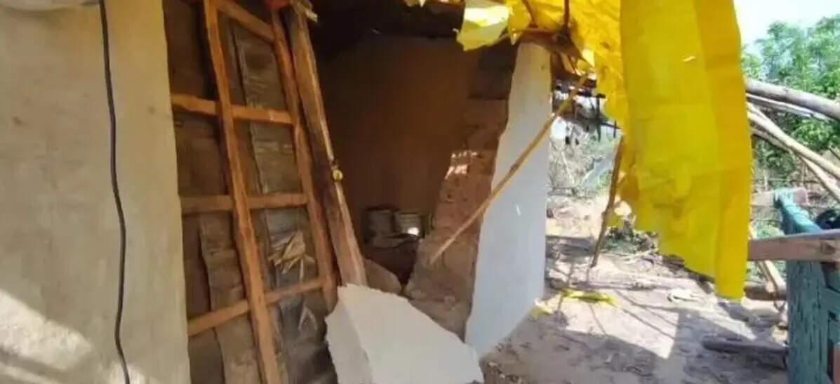 Chhattisgarh: Jumbo raid in Korba, bear attack in Gariyaband put forest villagers on edge