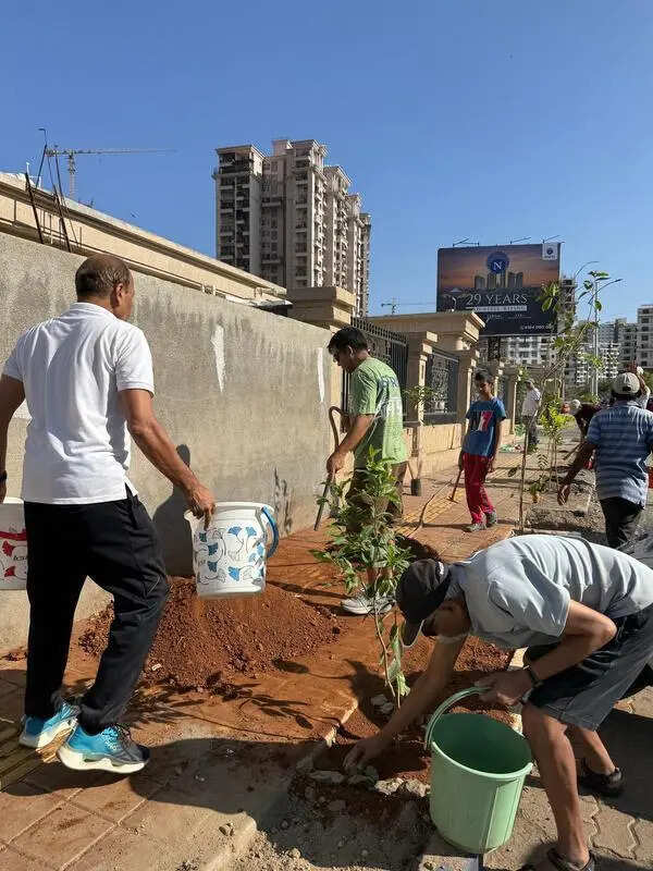 Amid soaring temperatures, Kondhwa residents take plantation into their own hands for shade