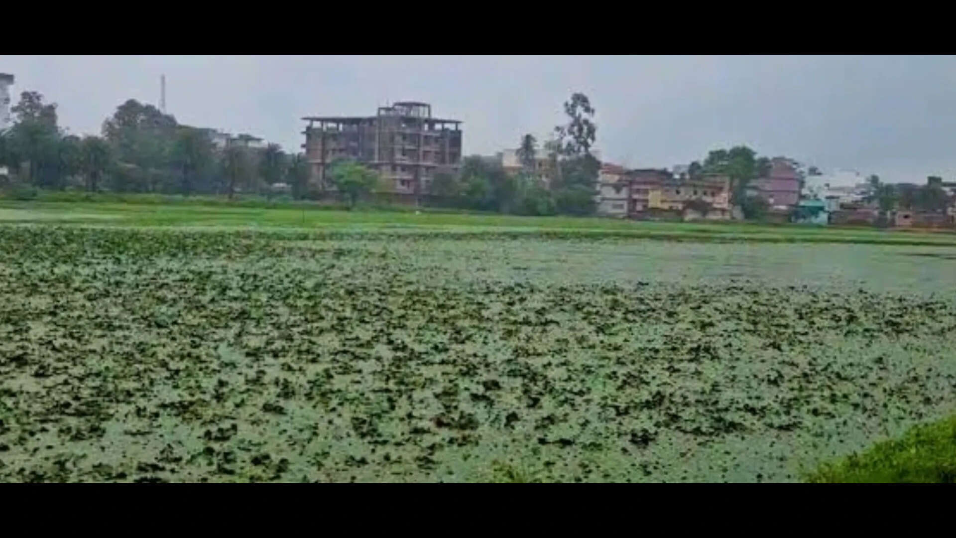 Environmental activist triumphs in battle to protect Hazaribag&rsquo;s Okni Talab; National Green Tribunal mandates beautification of the pond