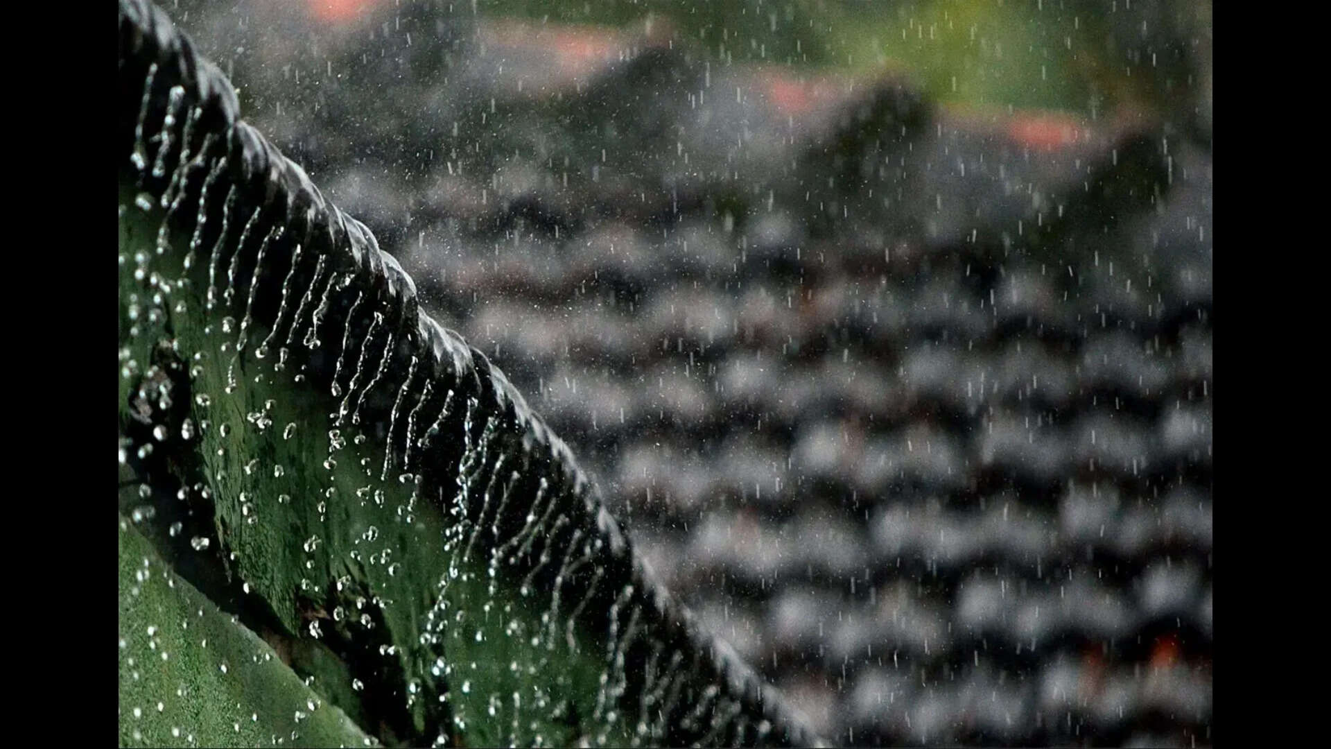 Scanty pre-monsoon rain in some areas fails to ease 36&deg;C-plus heat