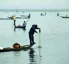 Govt vows to plant 10 times the no. of trees felled near Deepor Beel