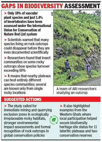 Study warns of mining threat to rocky plateaus of W Ghats