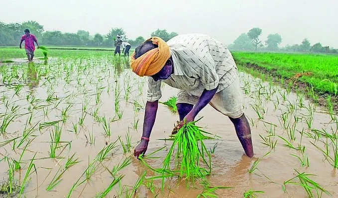 AI-powered monsoon forecast system developed at Pune&rsquo;s IITM promises farmers four-week heads-up