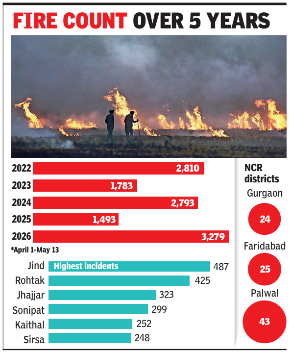 At 3.2k, Haryana records highest wheat stubble fire count in five years