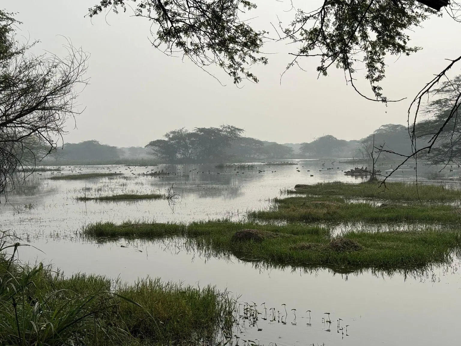 Rain gone, IMD out with heatwave alert for this week