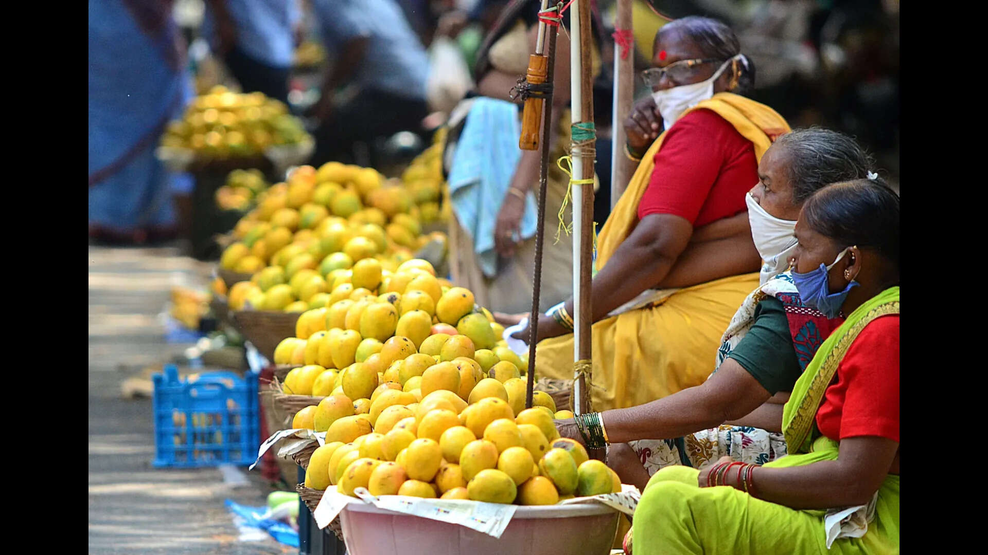 Goa&rsquo;s mango output up nearly 50% this season