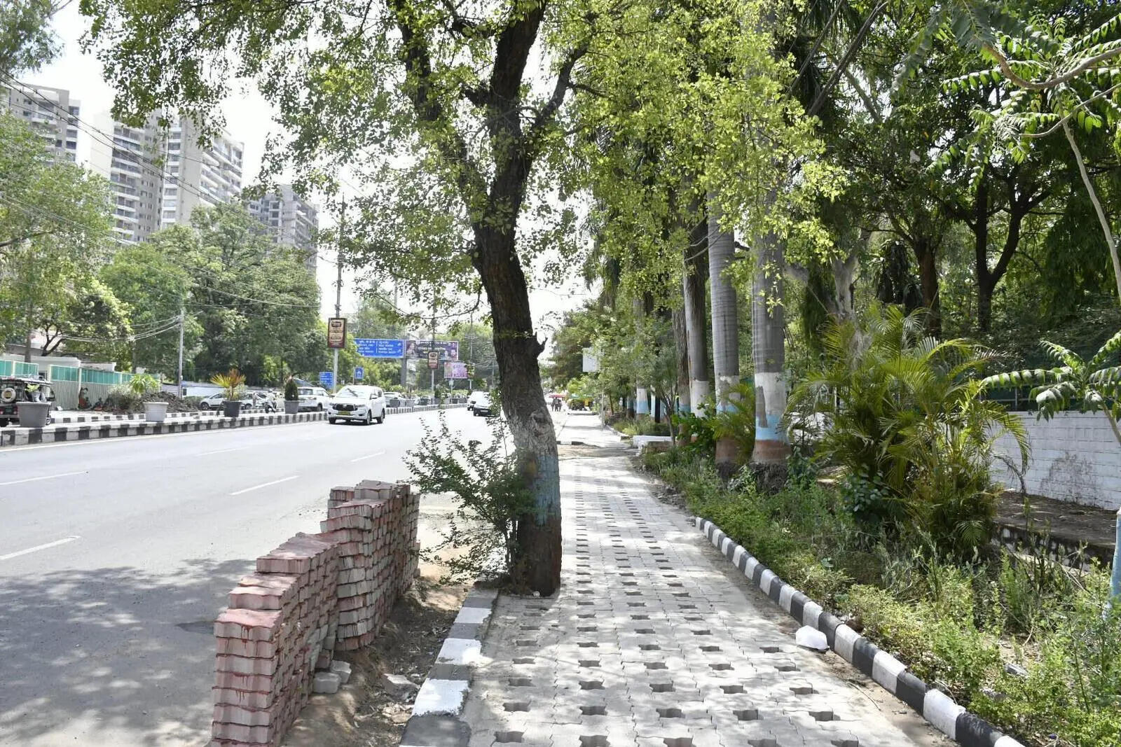 Swachh showcase or ecological setback? Activists warn BMC&rsquo;s cementing of pavements breaches NGT directives