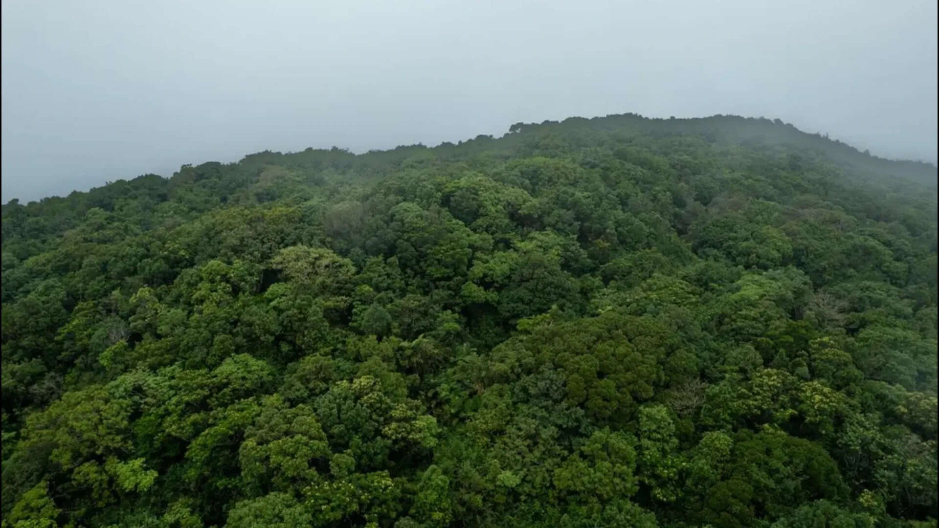 Avachitgad is Goa&rsquo;s second highest peak, finds new study