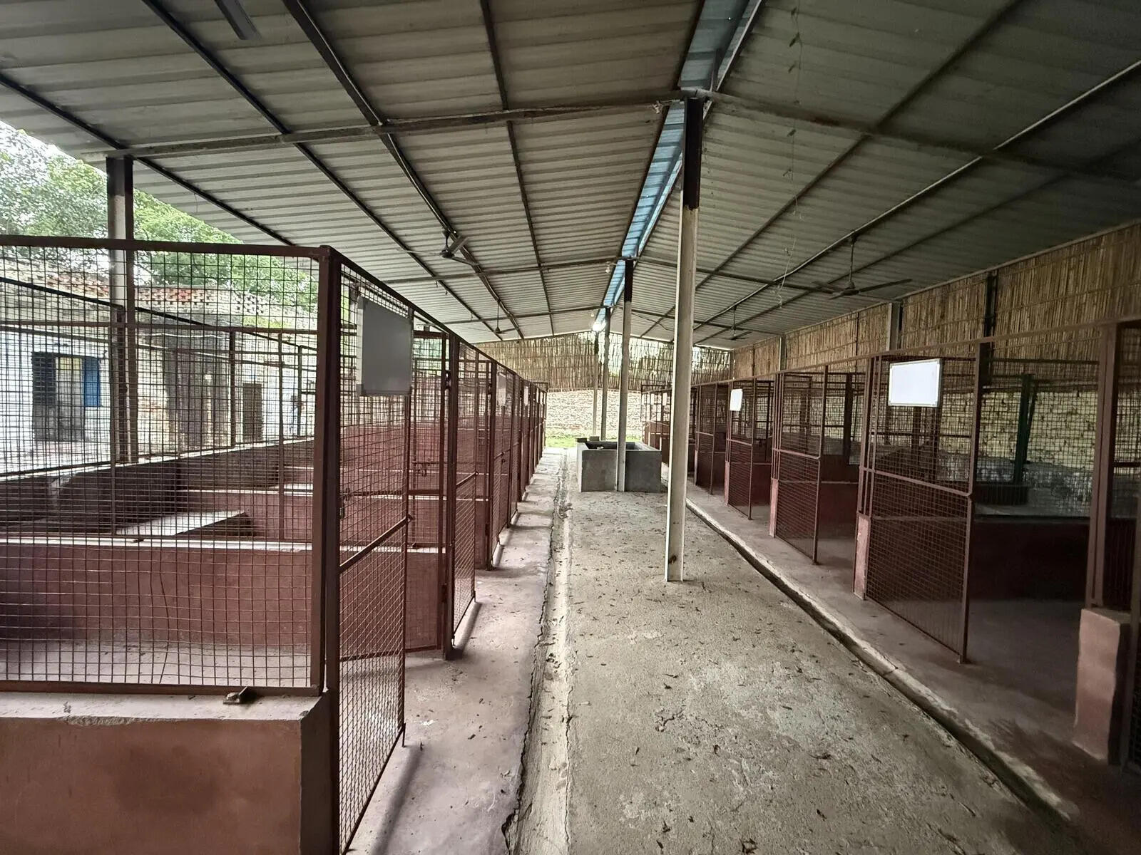 City&rsquo;s first dog shelter to come up at Kadarpur