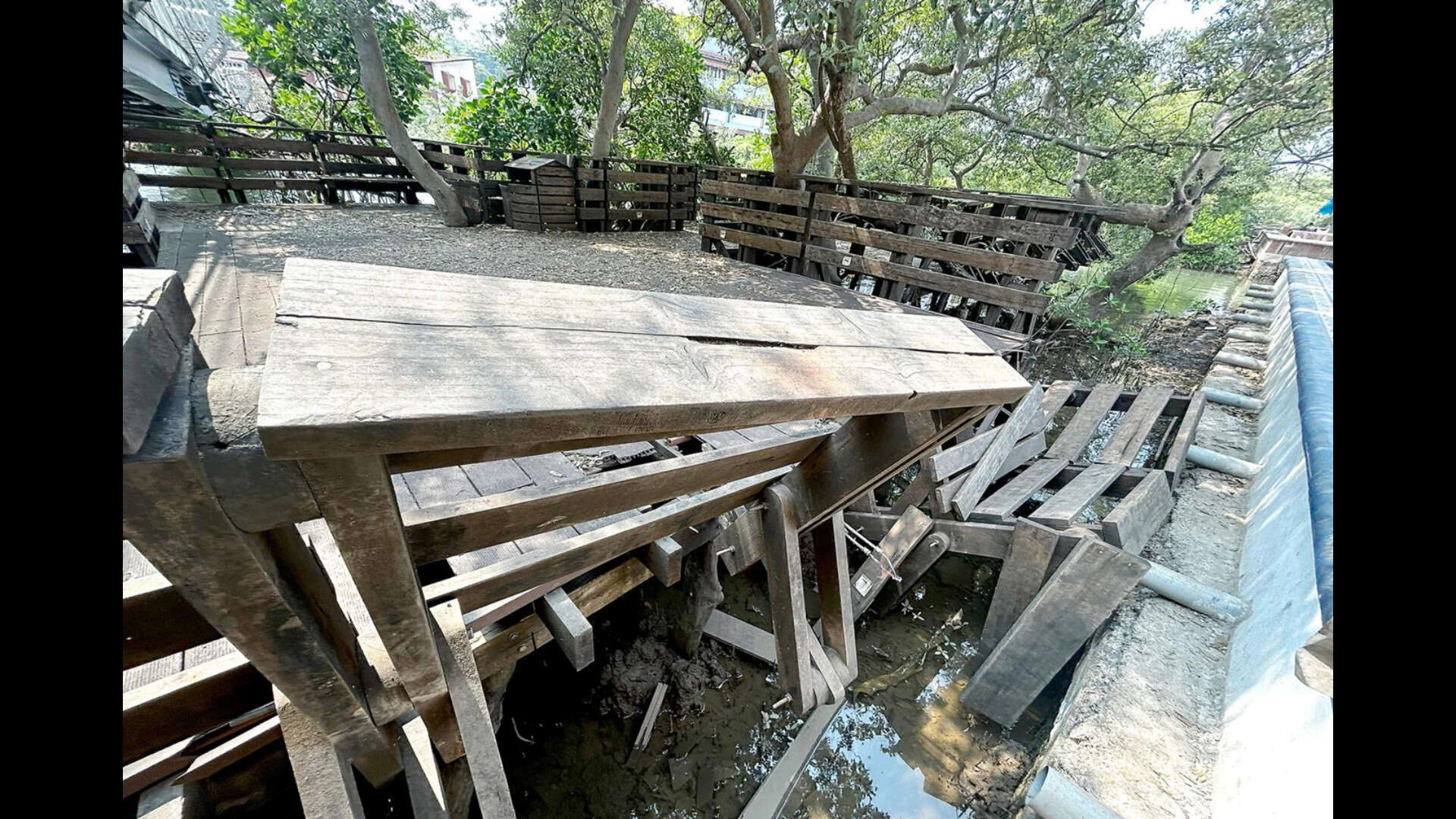 Architect who designed mangrove boardwalk offers to repair it, run it for the city