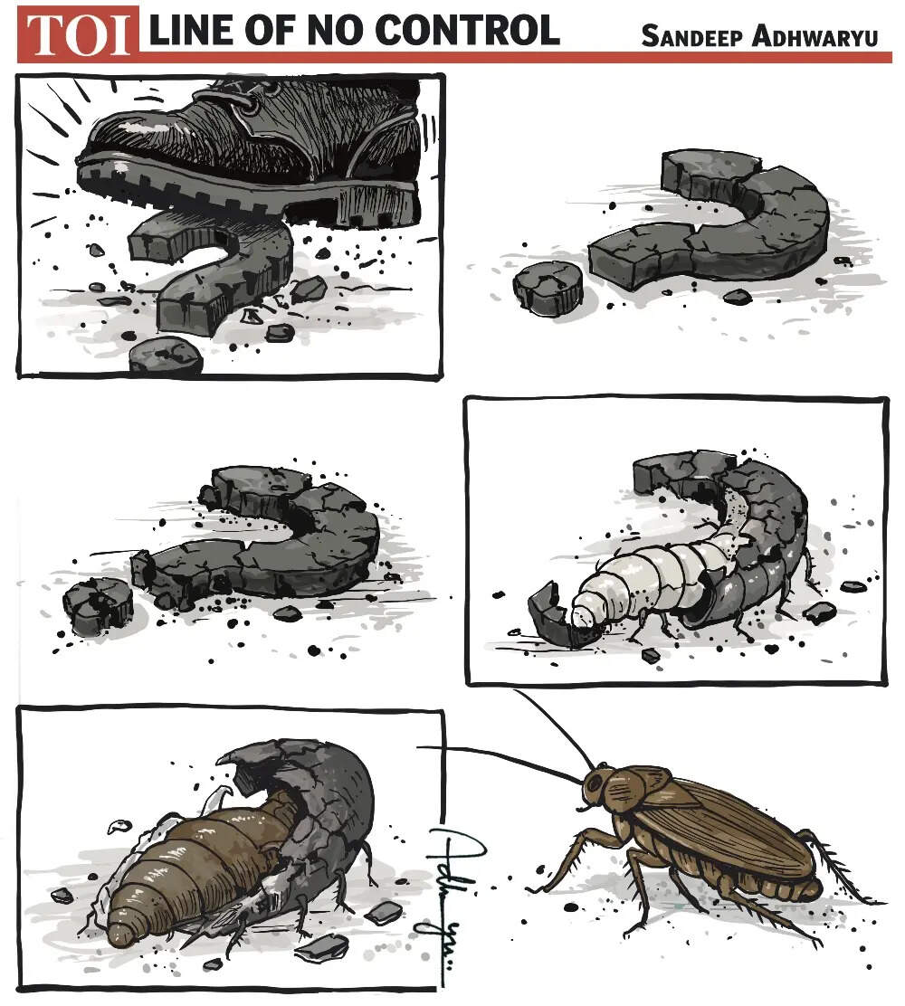 Cockroach remark