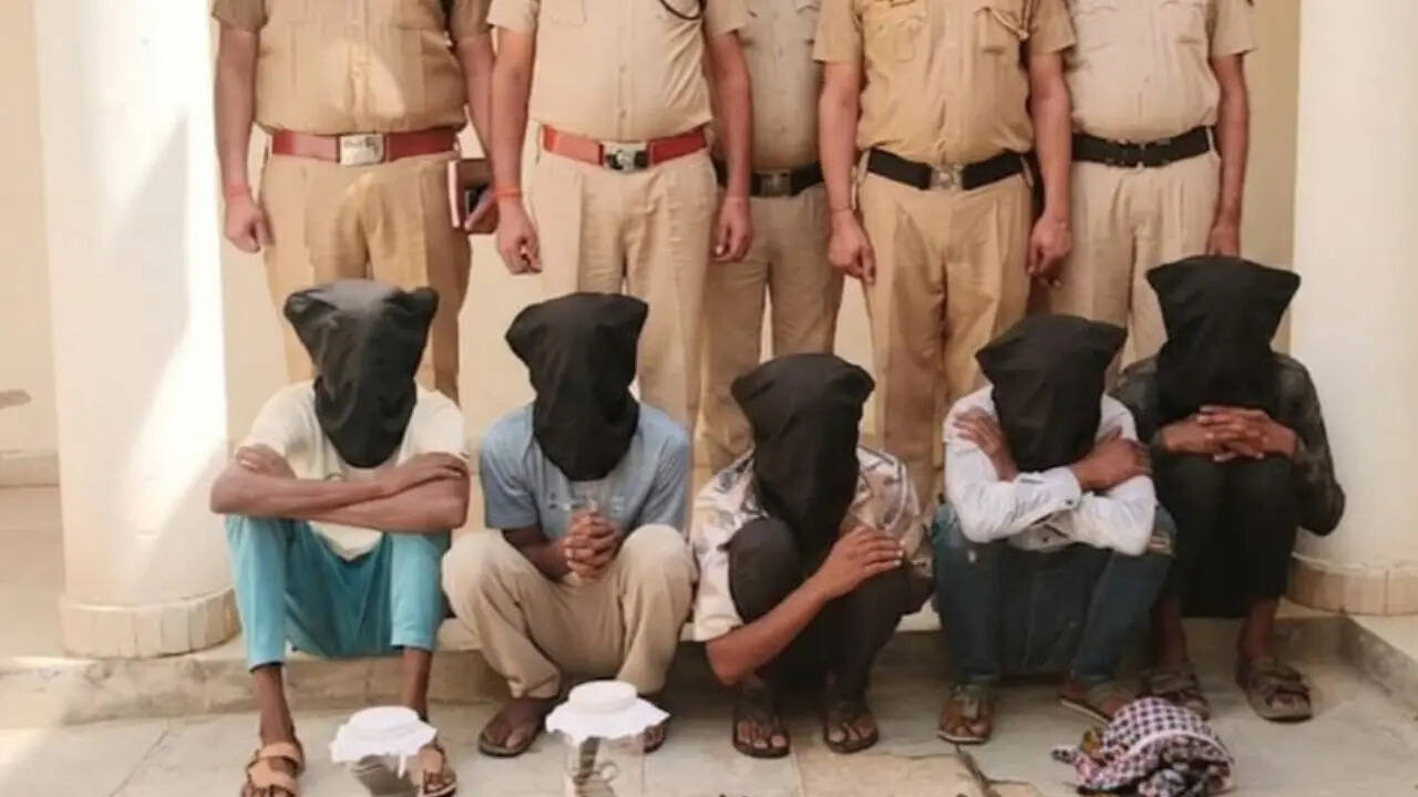 2 injured, 7 arrested after Haryana police encounter on interstate &lsquo;Pardi Gulel&rsquo; gang