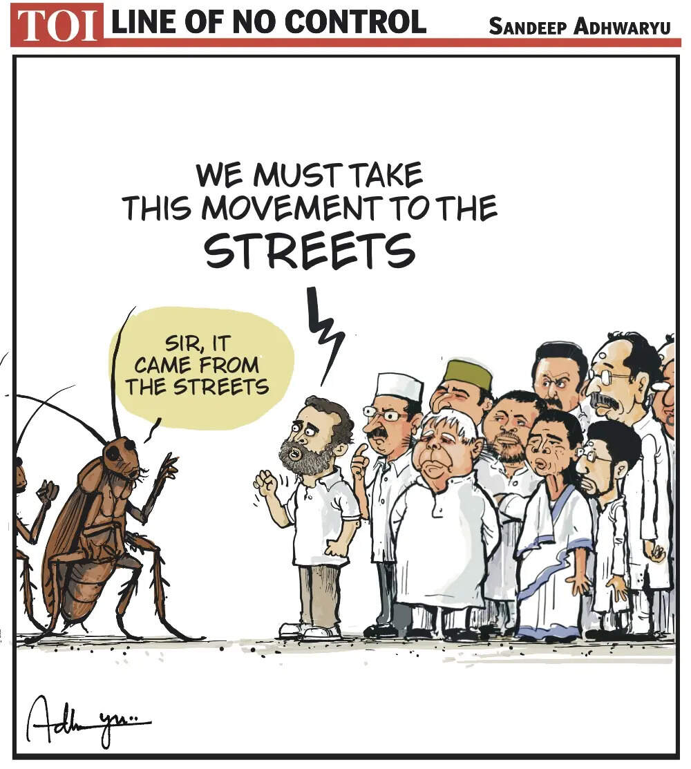 Cockroach row