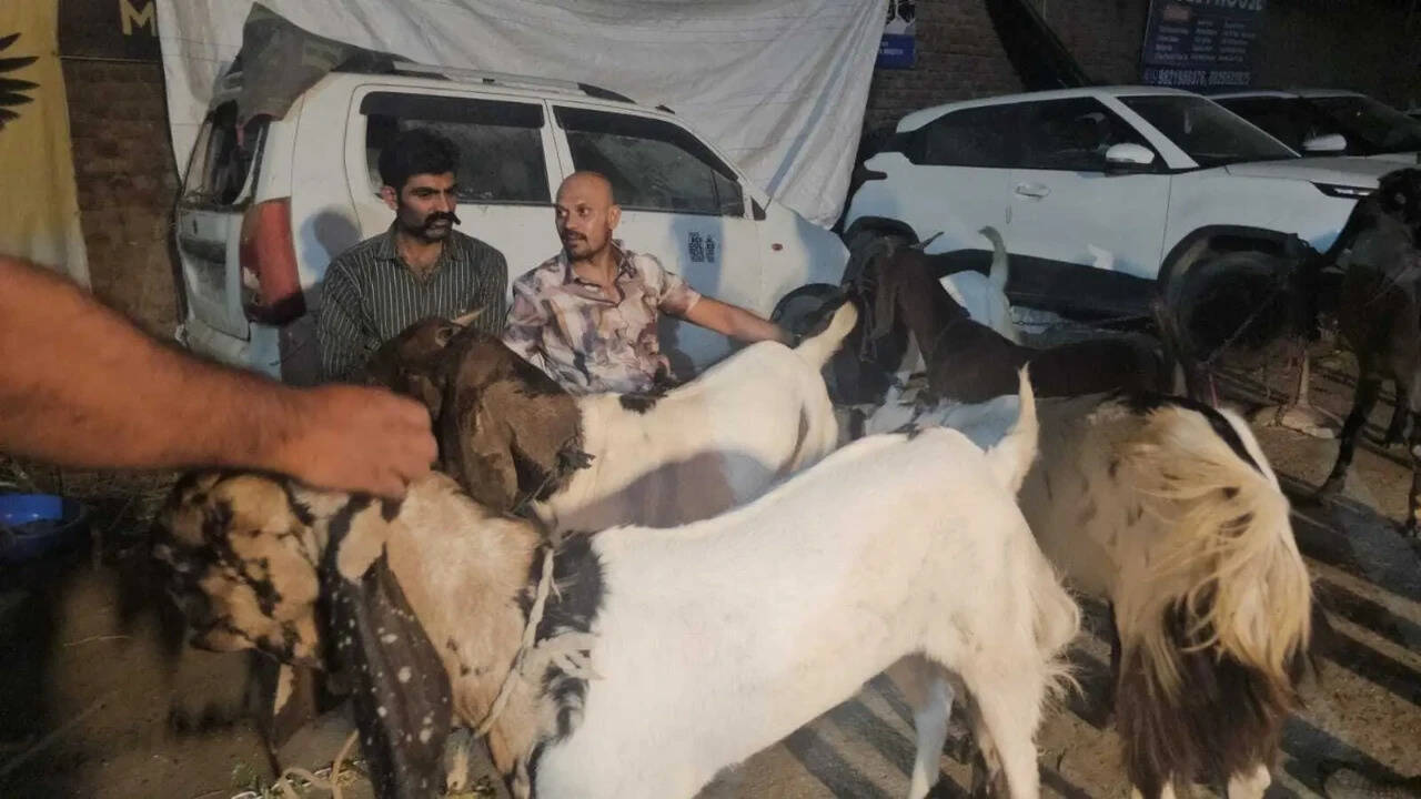 Posing as goat traders in Delhi&rsquo;s Shaheen Bagh, Chhattisgarh cops chase 300km on Yamuna Expressway to catch interstate burglar