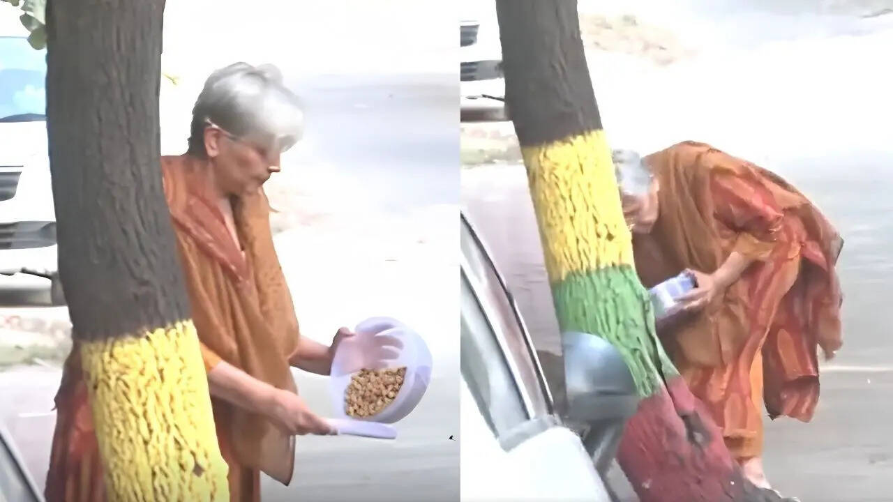 Watch: Twisha Sharma&rsquo;s mother-in-law seen feeding stray dogs after HC quashes anticipatory bail; CBI custody looms
