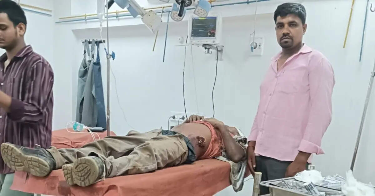 Drunk man injured after attacked by elephant herd