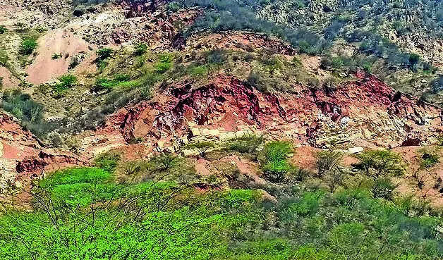 Govt plans 5-hectare plantation drive, but where&rsquo;s the land, ask experts