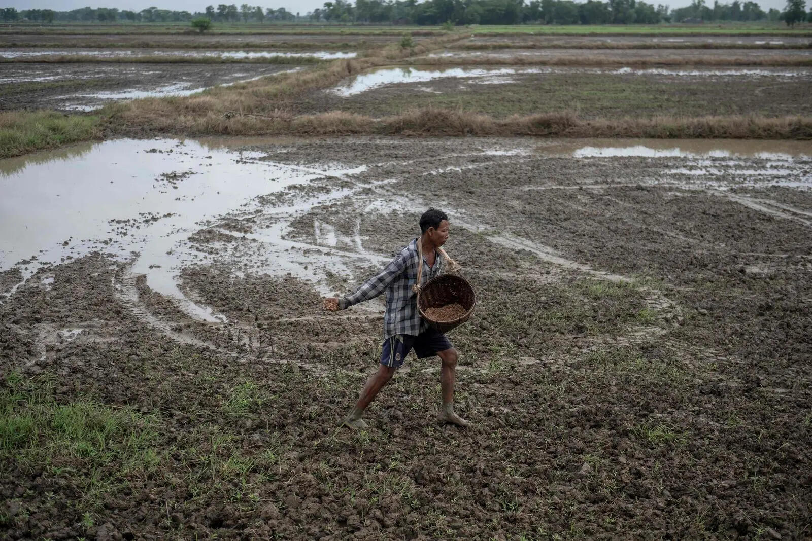 Agri ministry introduces mobile app for online fertiliser booking to keep check on black marketing