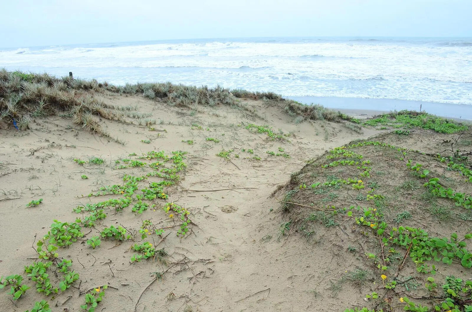 ​GCZMA findings more logical than NCSCM report: NGT