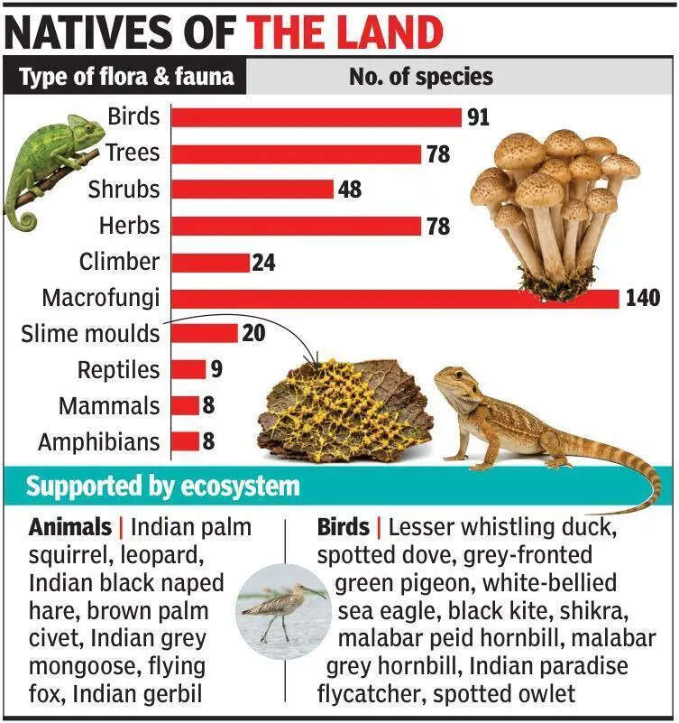 Study finds Goa&rsquo;s coastal plateau ecosystems thriving with biodiversity