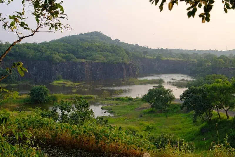 To save 4-5 minutes, a proposed road threatens Vital Vetal Tekdi