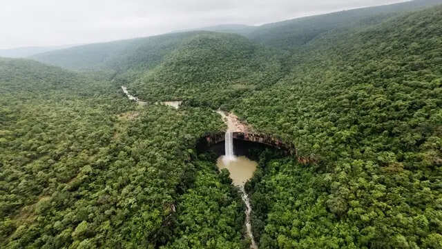 And then the jungle sprang to life: Four attacks, 550 arrests & 2,500 acres of forest reclaimed in Chhattisgarh tiger reserve