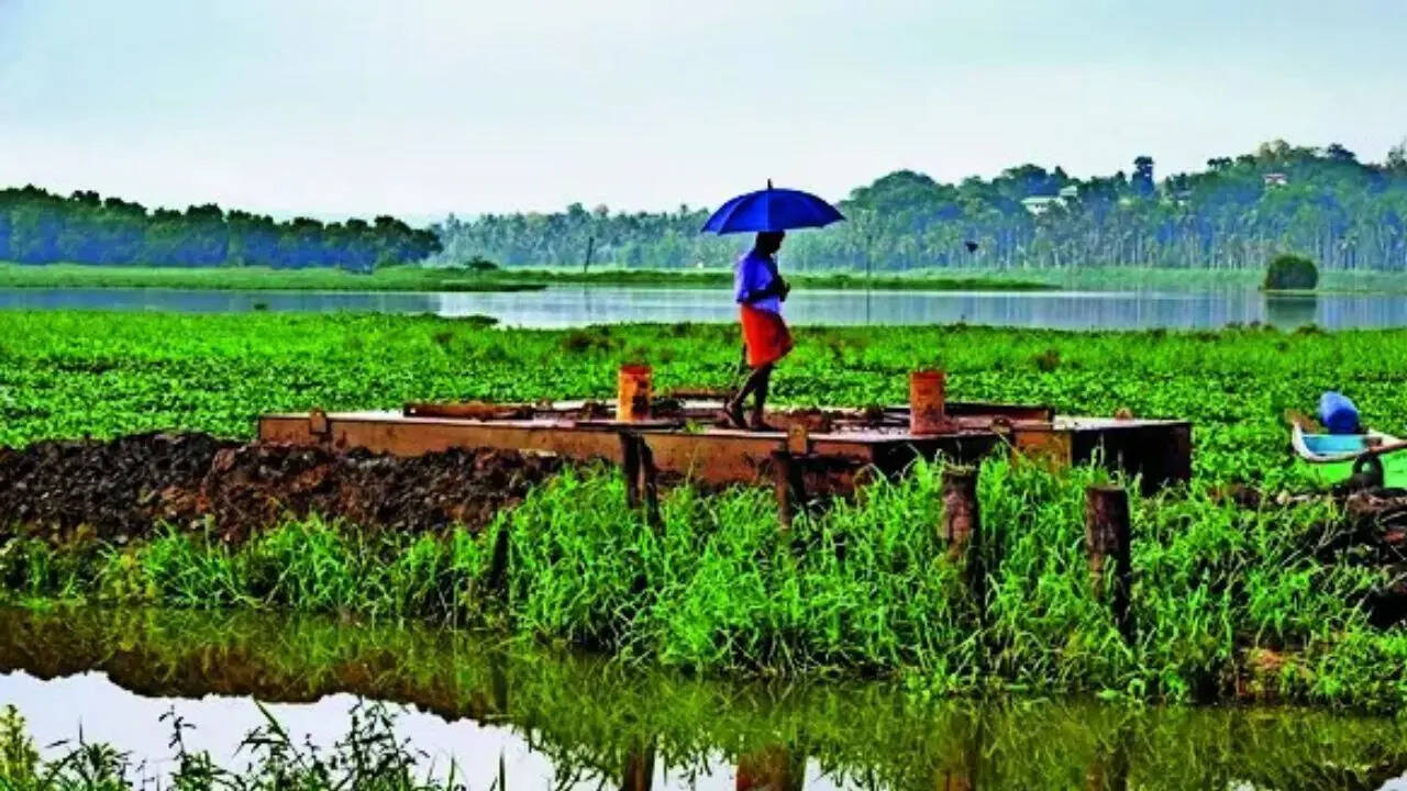 Monsoon knocks on Maharashtra door, but dry-air drag threatens march inland