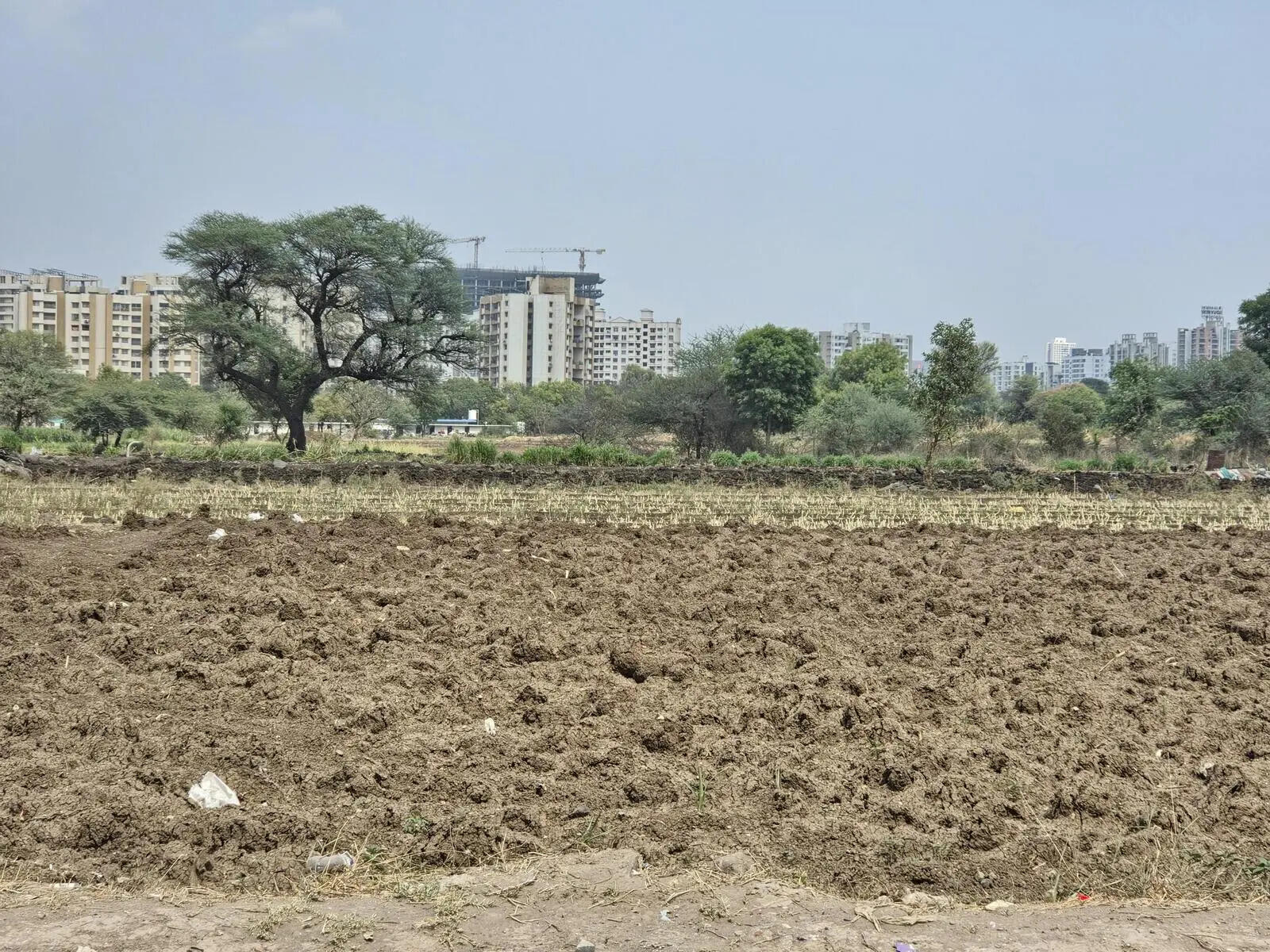 Monsoon advances into more parts of Maharashtra; Pune onset date still uncertain