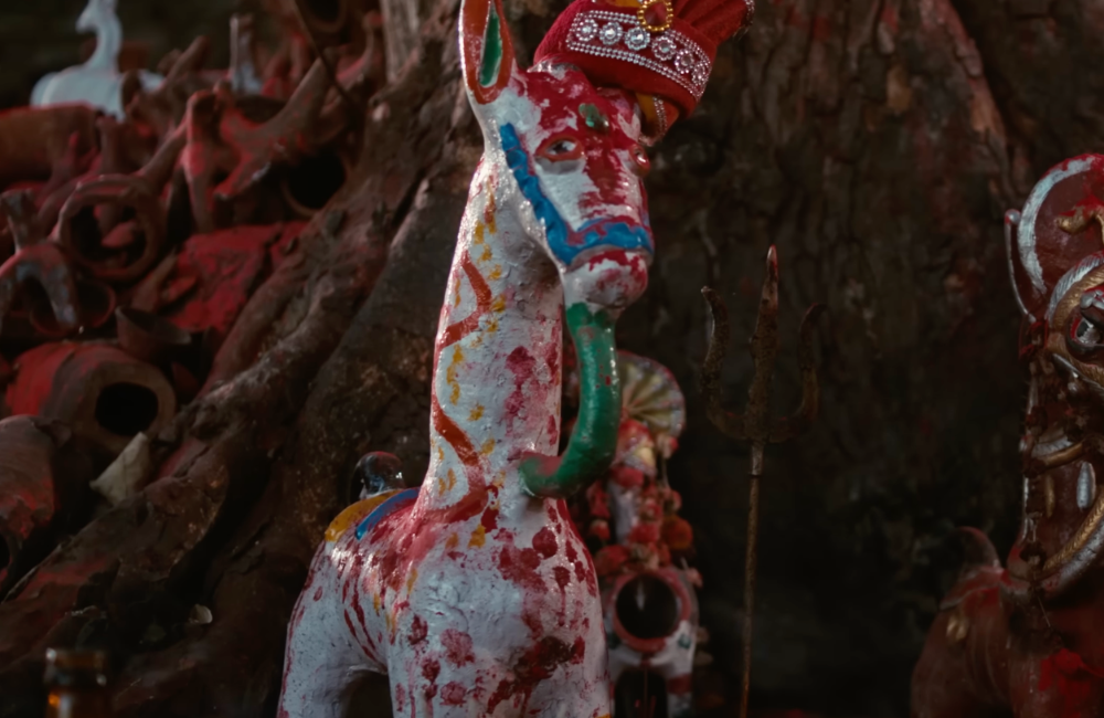 Kadaknath 1