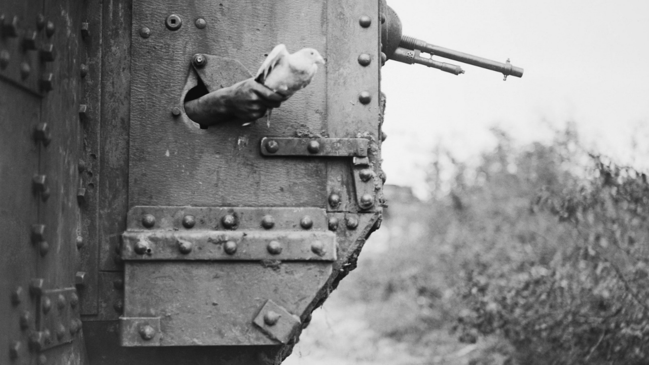 Unsolved Wartime Pigeon Code: skeleton and red capsule…
