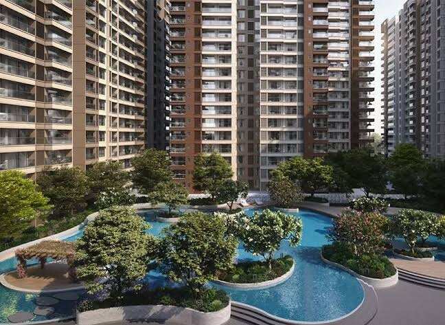 Prestige Evergreen