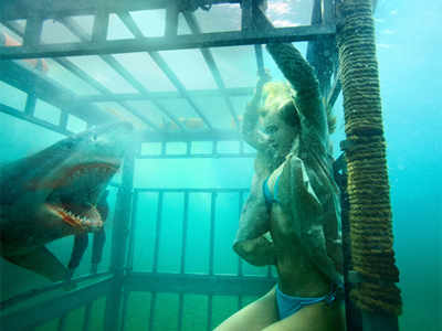 'Shark Night 3D'