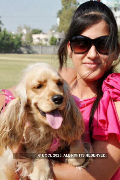 Dog show at Xaviers loyala School