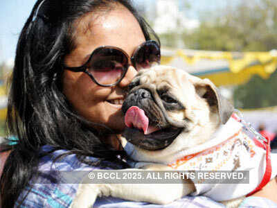 Dog show at Xaviers loyala School