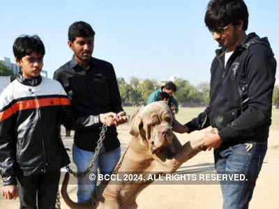 Dog show at Xaviers loyala School