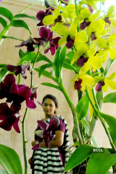 Cochin flower show