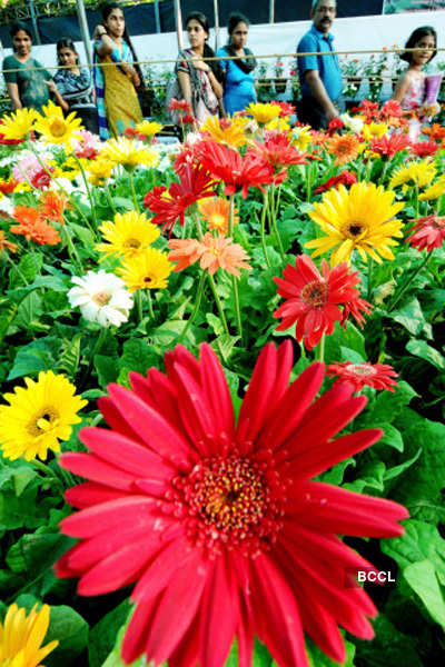 Cochin flower show