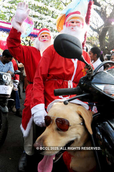 29th Cochin Carnival