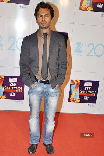 Zee Cine Awards 2013